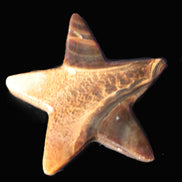 Chocolate Calcite Star 103*17mm 232.4g Rocks and Things Store