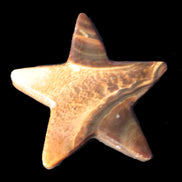 Chocolate Calcite Star 103*17mm 232.4g Rocks and Things Store