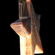 Chocolate Calcite Star 103*17mm 232.4g Rocks and Things Store