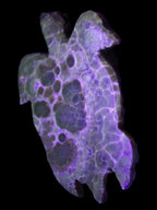Chocolate Calcite hand-carved tortoise 130mm*21*90mm 264.8g in UV light - Rocks and Things Store