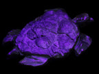 Chocolate Calcite hand-carved tortoise 130mm*21*90mm 264.8g in UV light - Rocks and Things Store