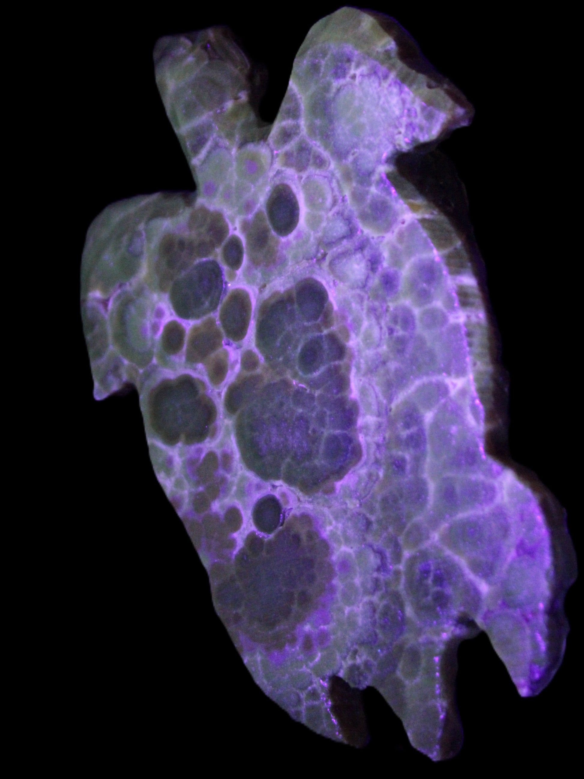 Chocolate Calcite hand-carved tortoise 130mm*21*90mm 264.8g in UV light - Rocks and Things Store