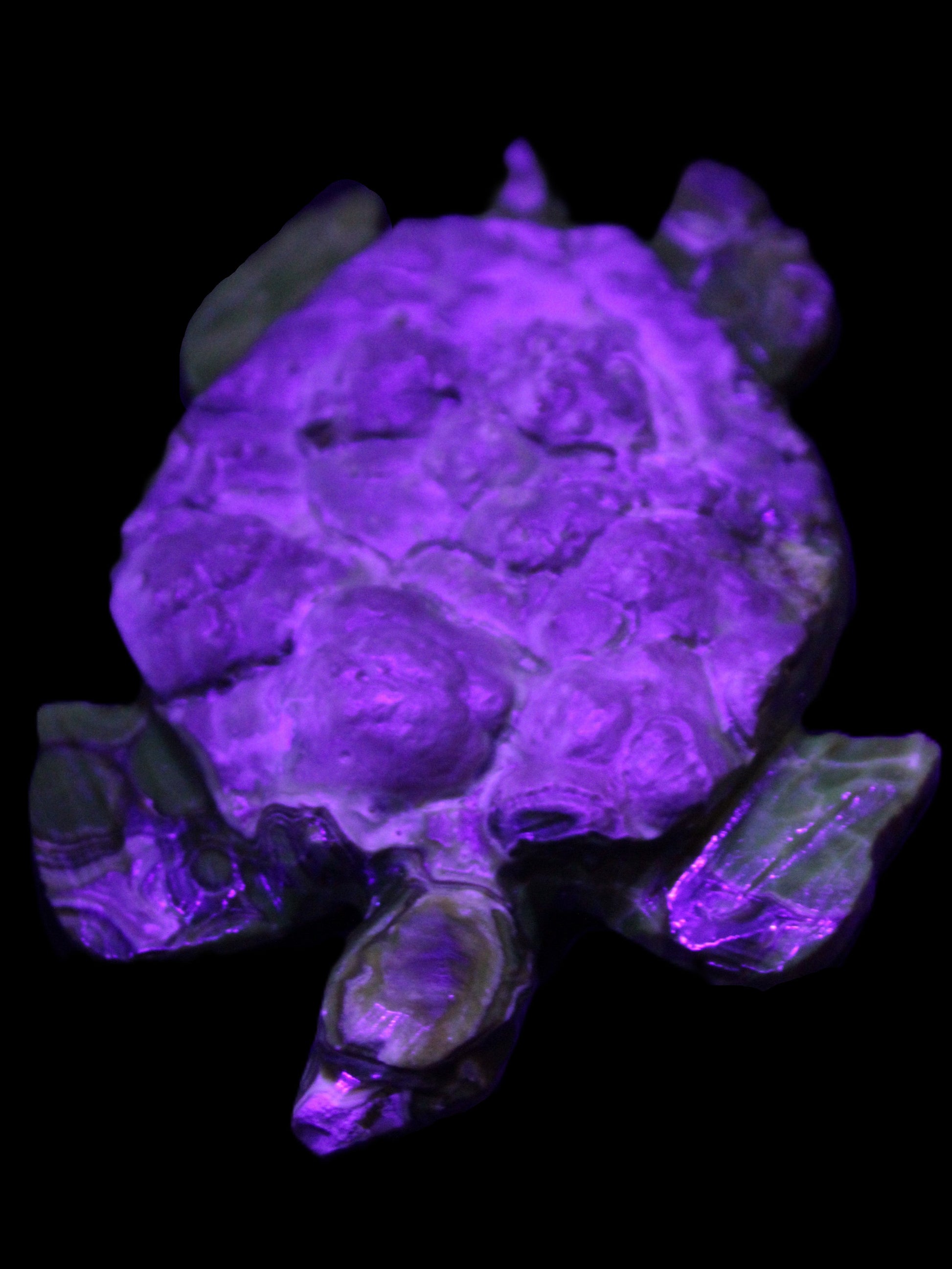 Chocolate Calcite hand-carved tortoise 130mm*21*90mm 264.8g in UV light - Rocks and Things Store