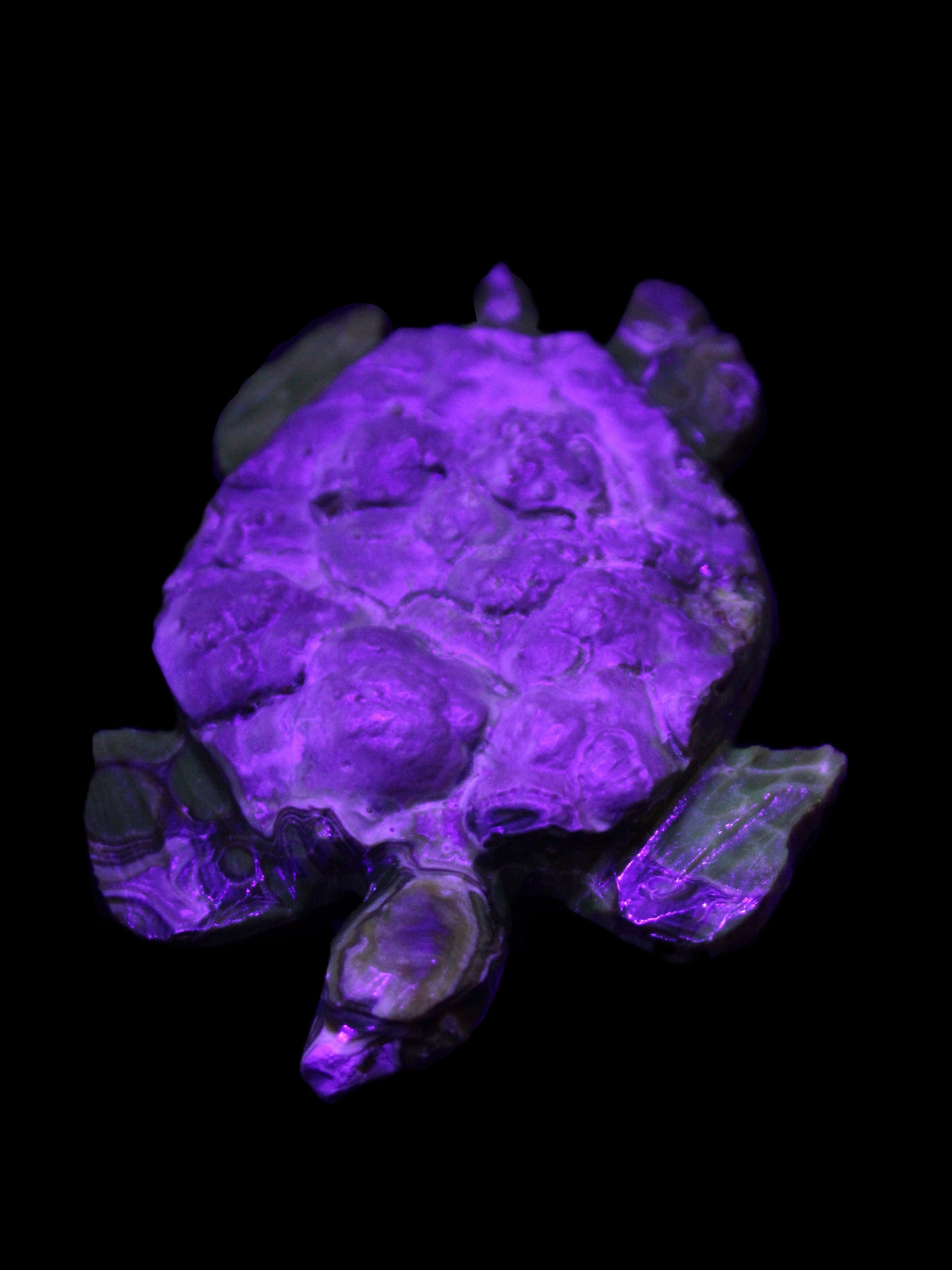 Chocolate Calcite hand-carved tortoise 130mm*21*90mm 264.8g in UV light - Rocks and Things Store