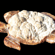 Chocolate Calcite hand-carved tortoise 130mm*21*90mm 264.8g in bright sunshine - Rocks and Things Store