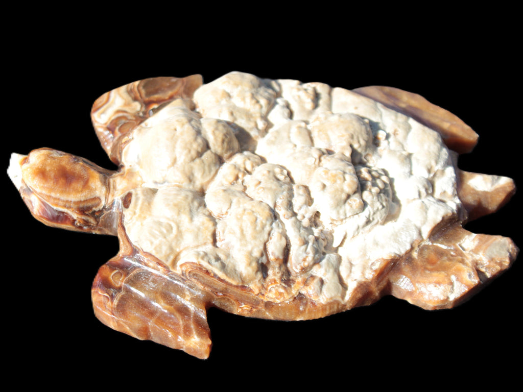 Chocolate Calcite hand-carved tortoise 130mm*21*90mm 264.8g in bright sunshine - Rocks and Things Store