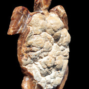 Chocolate Calcite hand-carved tortoise 130mm*21*90mm 264.8g in bright sunshine - Rocks and Things Store