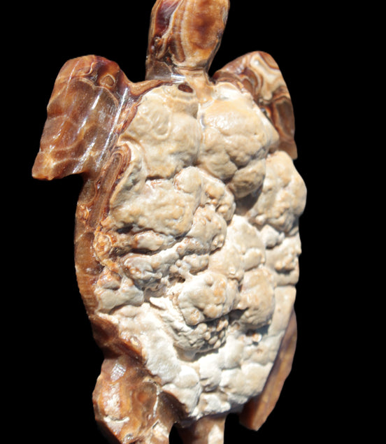 Chocolate Calcite hand-carved tortoise 130mm*21*90mm 264.8g in bright sunshine - Rocks and Things Store