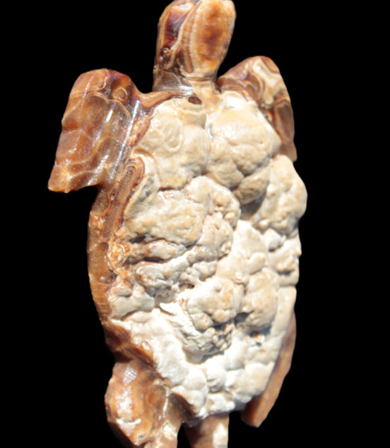 Chocolate Calcite hand-carved tortoise 130mm*21*90mm 264.8g in bright sunshine -  Rocks and Things Store