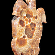 Chocolate Calcite hand-carved tortoise 130mm*21*90mm 264.8g in bright sunshine - Rocks and Things Store
