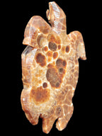 Chocolate Calcite hand-carved tortoise 130mm*21*90mm 264.8g in bright sunshine - Rocks and Things Store