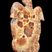 Chocolate Calcite hand-carved tortoise 130mm*21*90mm 264.8g in bright sunshine - Rocks and Things Store