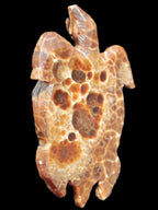 Chocolate Calcite hand-carved tortoise 130mm*21*90mm 264.8g in bright sunshine - Rocks and Things Store