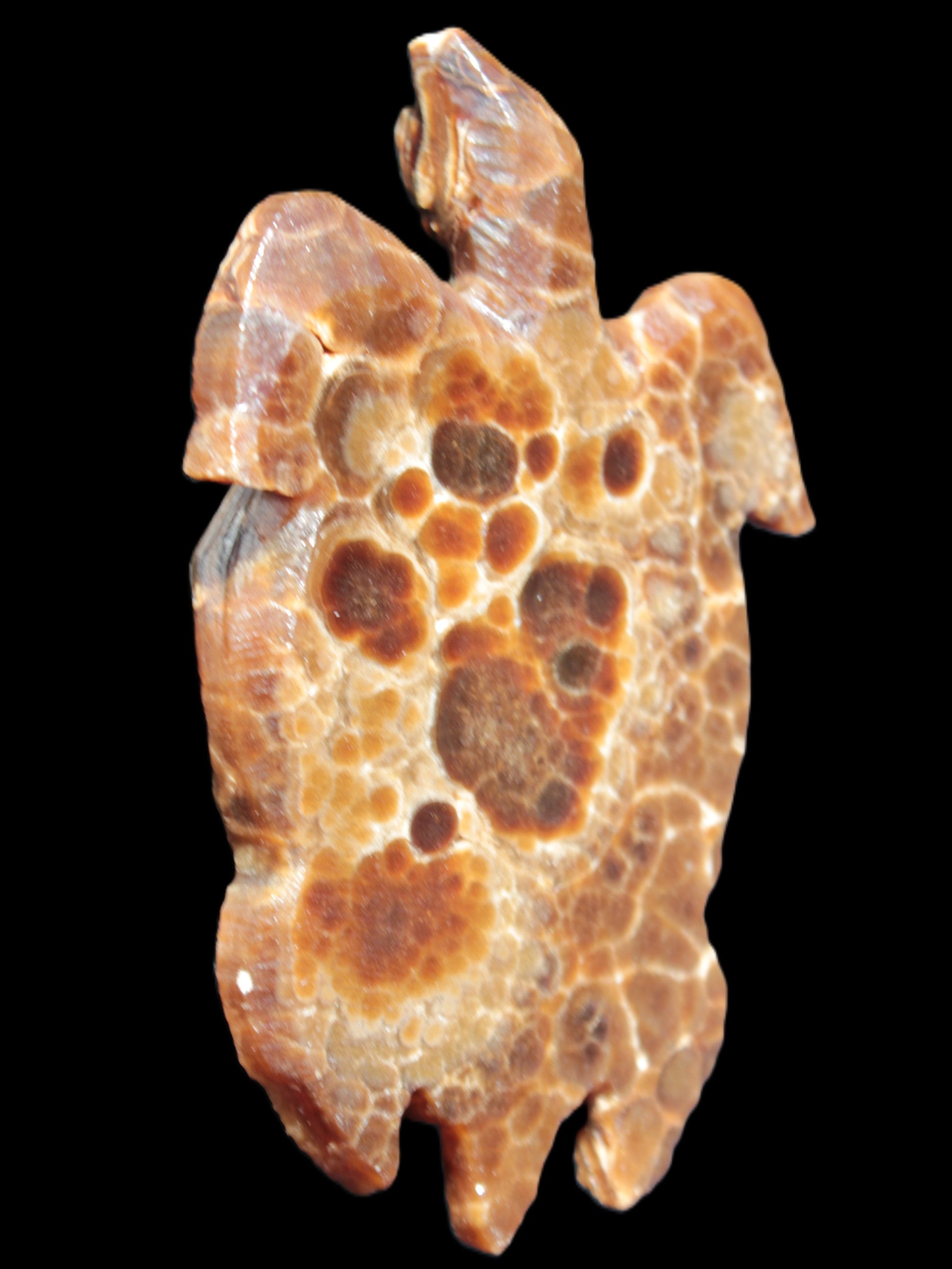 Chocolate Calcite hand-carved tortoise 130mm*21*90mm 264.8g in bright sunshine - Rocks and Things Store