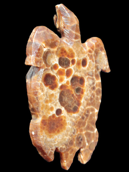 Chocolate Calcite hand-carved tortoise 130mm*21*90mm 264.8g in bright sunshine - Rocks and Things Store