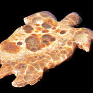 Chocolate Calcite hand-carved tortoise 130mm*21*90mm 264.8g in bright sunshine - Rocks and Things Store