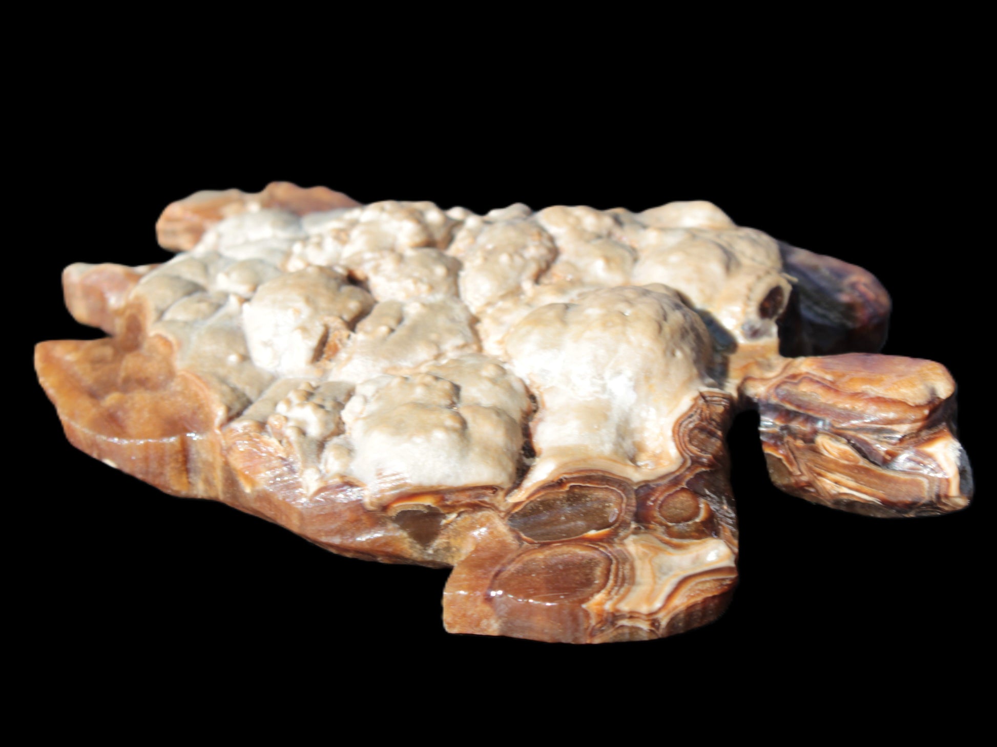 Chocolate Calcite hand-carved tortoise 130mm*21*90mm 264.8g in bright sunshine - Rocks and Things Store