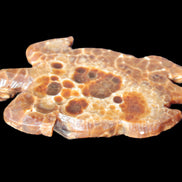 Chocolate Calcite hand-carved tortoise 130mm*21*90mm 264.8g in bright sunshine - Rocks and Things Store