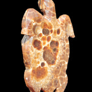 Chocolate Calcite hand-carved tortoise 130mm*21*90mm 264.8g in bright sunshine - Rocks and Things Store