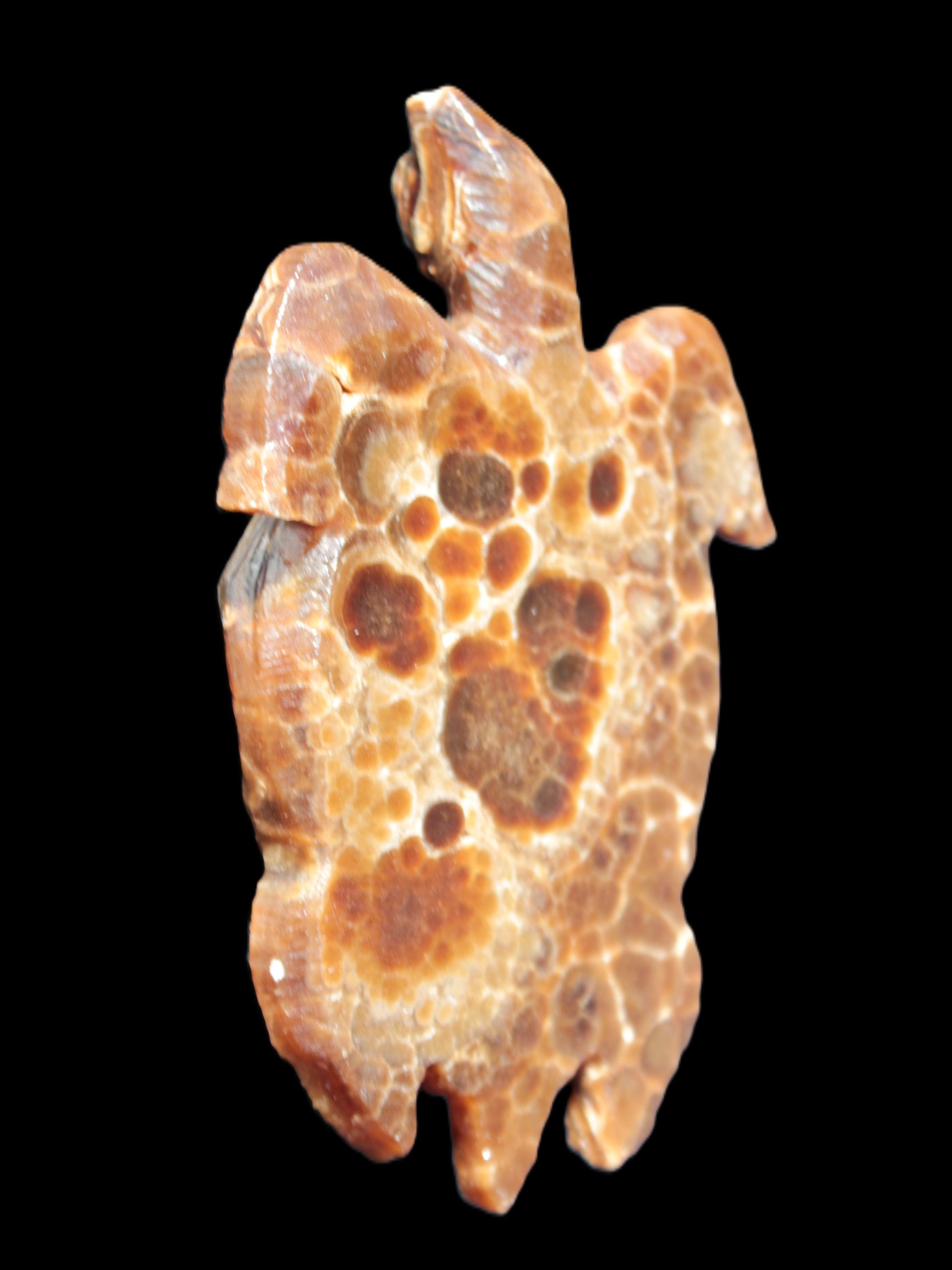 Chocolate Calcite hand-carved tortoise 130mm*21*90mm 264.8g in bright sunshine - Rocks and Things Store