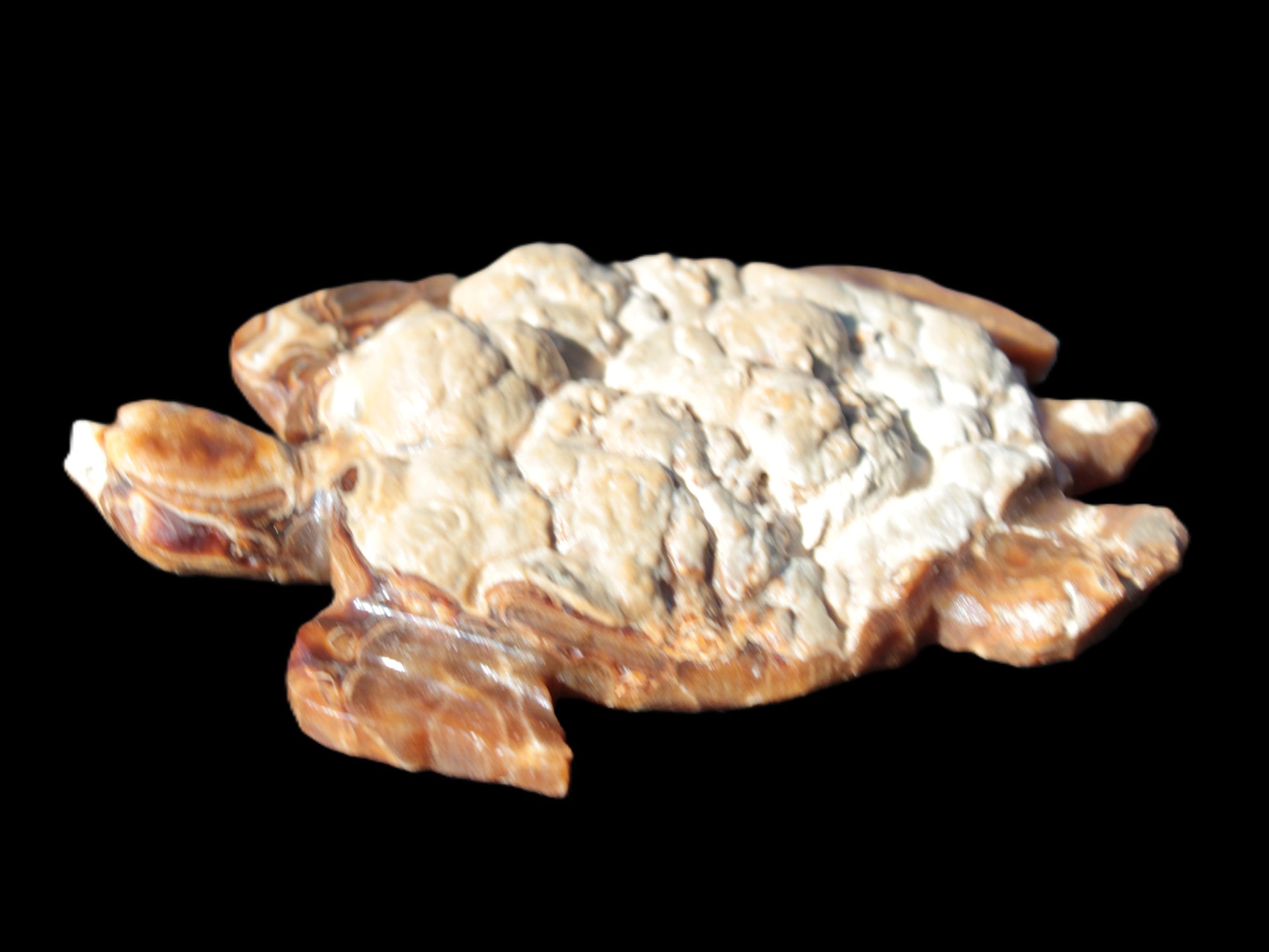 Chocolate Calcite hand-carved tortoise 130mm*21*90mm 264.8g in bright sunshine - Rocks and Things Store
