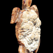 Chocolate Calcite hand-carved tortoise 130mm*21*90mm 264.8g in bright sunshine - Rocks and Things Store