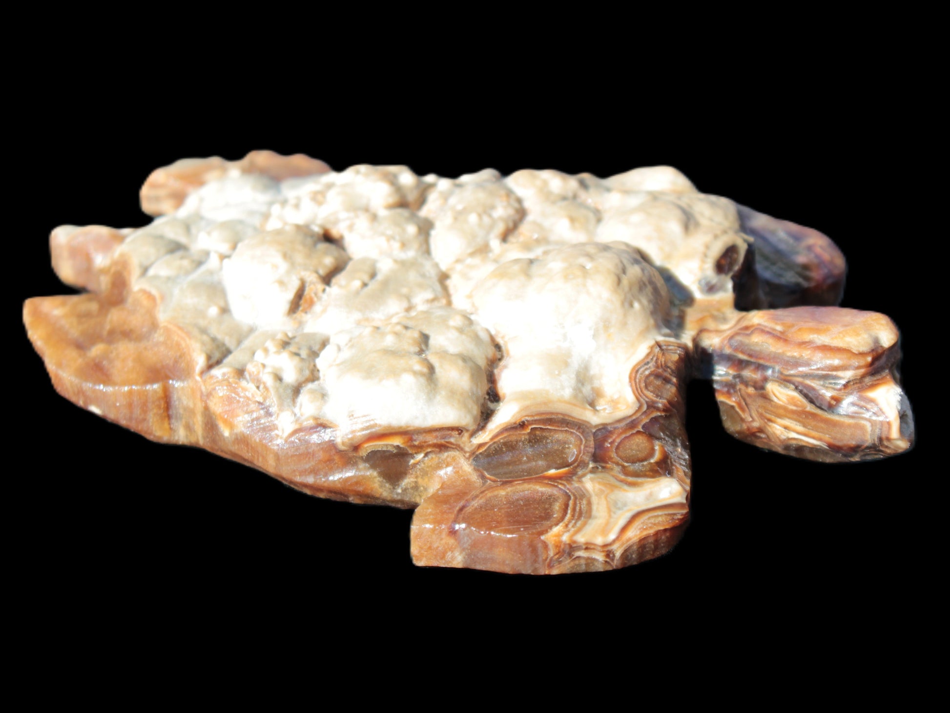 Chocolate Calcite hand-carved tortoise 130mm*21*90mm 264.8g in bright sunshine - Rocks and Things Store