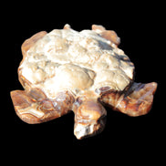 Chocolate Calcite hand-carved tortoise 130mm*21*90mm 264.8g in bright sunshine - Rocks and Things Store