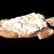 Chocolate Calcite hand-carved tortoise 130mm*21*90mm 264.8g in bright sunshine - Rocks and Things Store