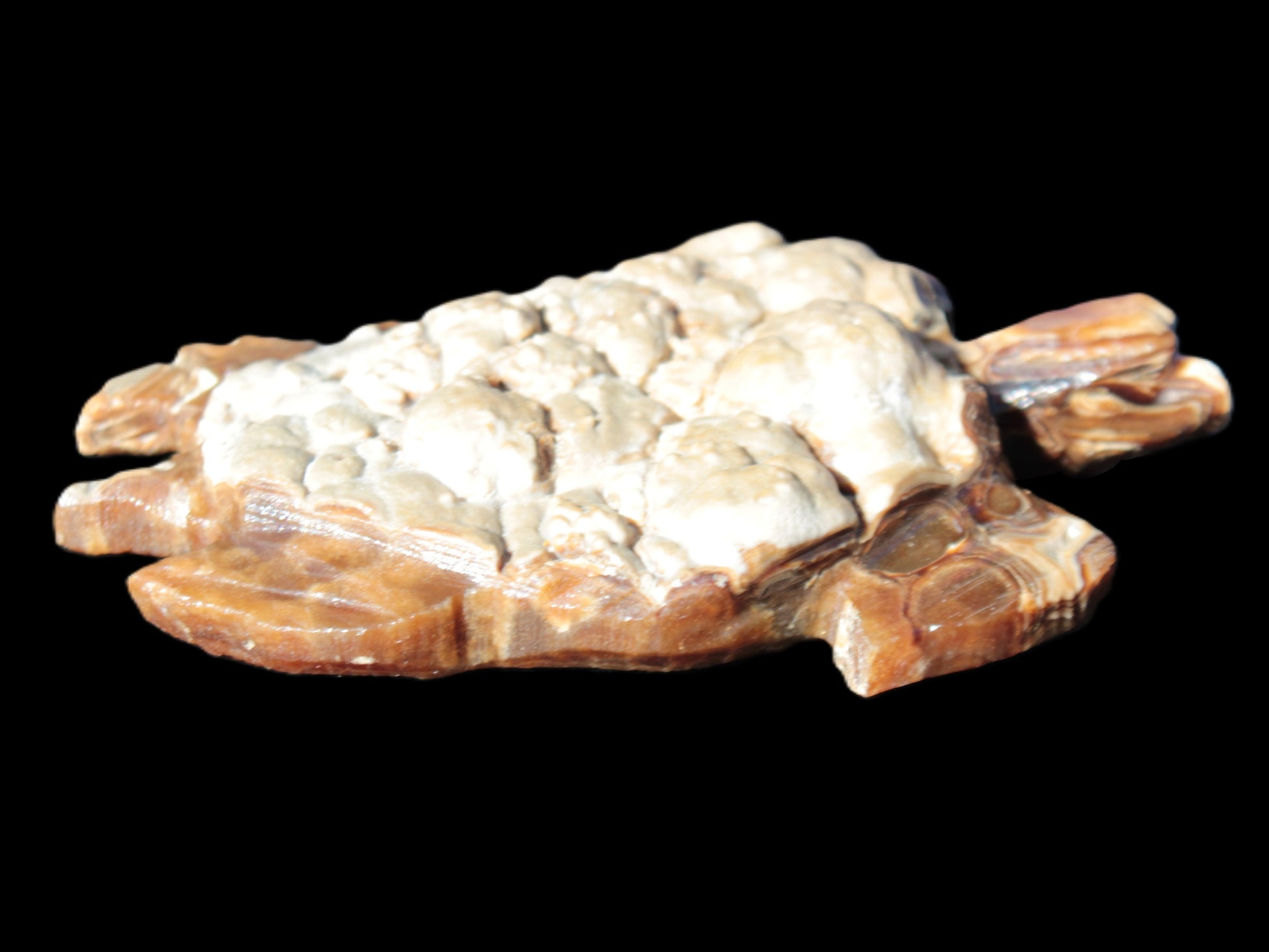 Chocolate Calcite hand-carved tortoise 130mm*21*90mm 264.8g in bright sunshine - Rocks and Things Store