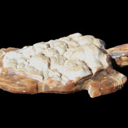 Chocolate Calcite hand-carved tortoise 130mm*21*90mm 264.8g in bright sunshine - Rocks and Things Store
