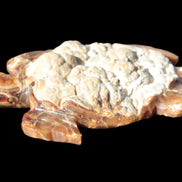 Chocolate Calcite hand-carved tortoise 130mm*21*90mm 264.8g in bright sunshine - Rocks and Things Store