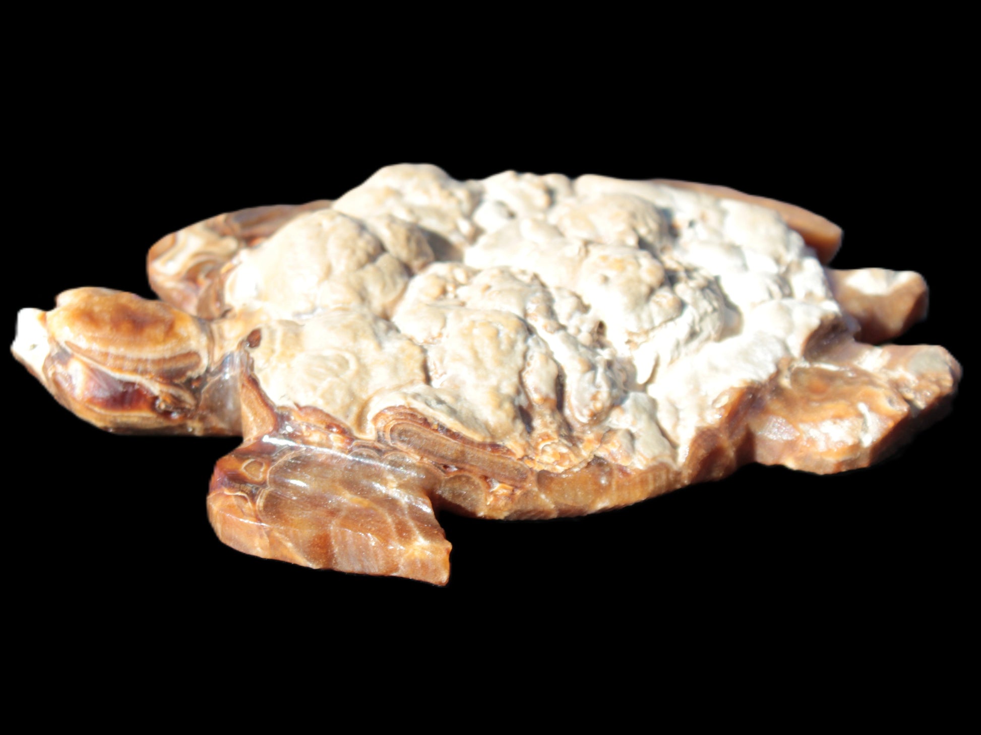 Chocolate Calcite hand-carved tortoise 130mm*21*90mm 264.8g in bright sunshine - Rocks and Things Store
