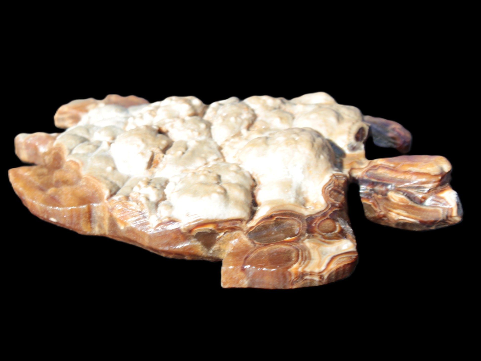 Chocolate Calcite hand-carved tortoise 130mm*21*90mm 264.8g in bright sunshine - Rocks and Things Store