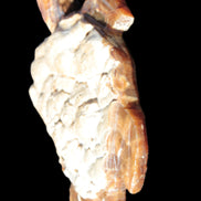 Chocolate Calcite hand-carved tortoise 130mm*21*90mm 264.8g in bright sunshine - Rocks and Things Store