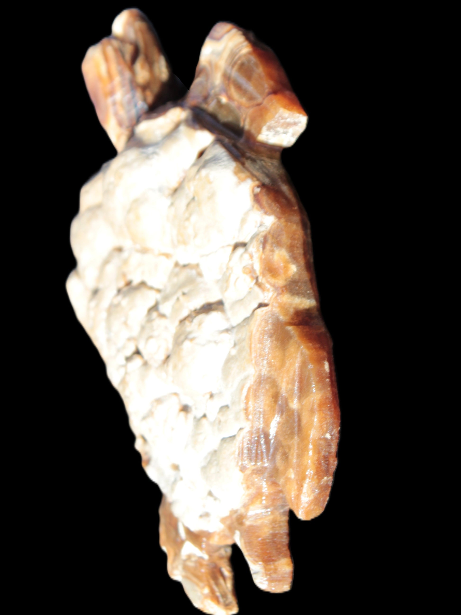 Chocolate Calcite hand-carved tortoise 130mm*21*90mm 264.8g in bright sunshine - Rocks and Things Store