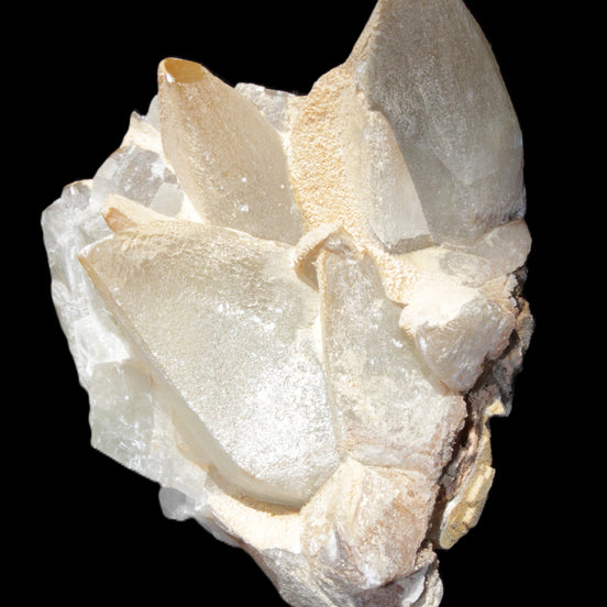 Dogtooth calcite cluster 100*82*78mm 508g in sunlight - Rocks and Things Store