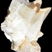 Dogtooth calcite cluster 100*82*78mm 508g Rocks and Things Store