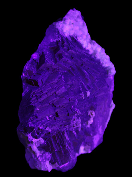 Clear Fluorite cluster 145*100*34mm 648g Rocks and Things Store