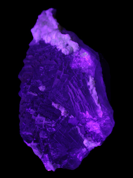 Clear Fluorite cluster 145*100*34mm 648g Rocks and Things Store
