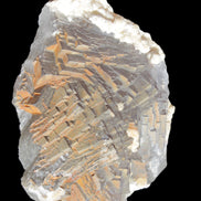 Clear Fluorite cluster 145*100*34mm 648g Rocks and Things Store