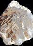 Clear Fluorite cluster 145*100*34mm 648g Rocks and Things Store