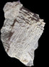 Clear Fluorite cluster 159*113*57mm 920.5g in sunlight - Rocks and Things Store