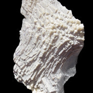 Clear Fluorite cluster 159*113*57mm 920.5g in sunlight - Rocks and Things Store