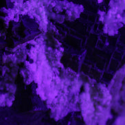 Complex stepped Fluorite cluster 173*141*85mm 2772g in UV light - Rocks and Things Store