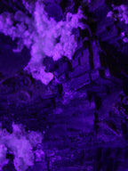Complex stepped Fluorite cluster 173*141*85mm 2772g in UV light - Rocks and Things Store