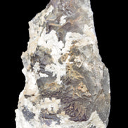 Complex stepped Fluorite cluster 173*141*85mm 2772g in sunlight - Rocks and Things Store