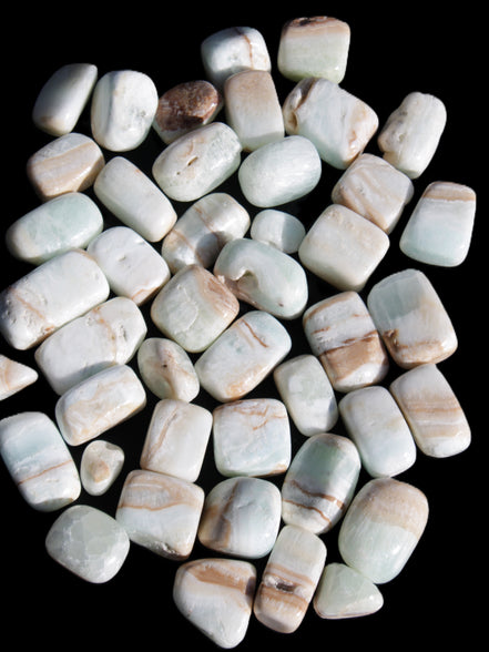 Caribbean Calcite 41 tumbled stones 20*10mm - 27*20mm  590g Wholesale Rocks and Things Store