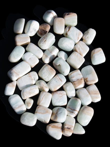 Caribbean Calcite 41 tumbled stones 20*10mm - 27*20mm  590g Wholesale Rocks and Things Store