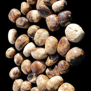 Chocolate Calcite 41 tumbled stones 25*20mm - 30*25mm 725g Wholesale in sunlight - Rocks and Things Store